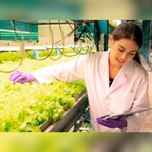 Impulsando la sostenibilidad y la economía circular en el sector agroalimentario