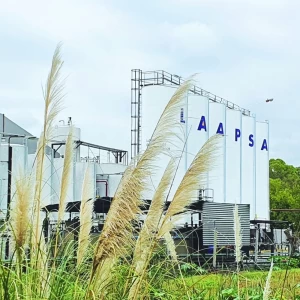 Laapsa cumple 35 años