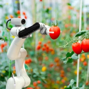 Foodtech: la transformación tecnológica del sector alimentario