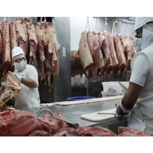 Argentina avanza en una “declaración ambiental de producto” para la carne argentina de exportación