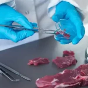 Investigan fuentes alternativas para el crecimiento de bacterias en productos cárnicos