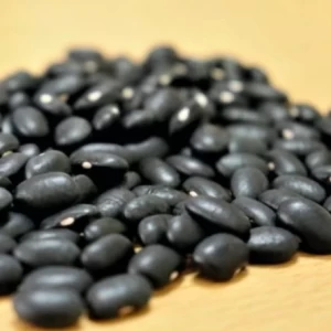 Descubren una variedad de poroto con características culinarias superiores