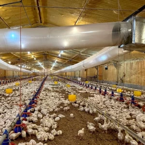 Generadores de aire caliente a pellets para galpones avícolas