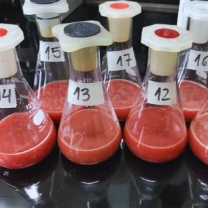 Elaboran aditivos antioxidantes a partir de un subproducto bovino