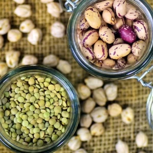 Proteínas derivadas de legumbres