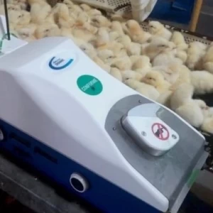 Control integral de la Enfermedad de Marek en reproductoras pesadas