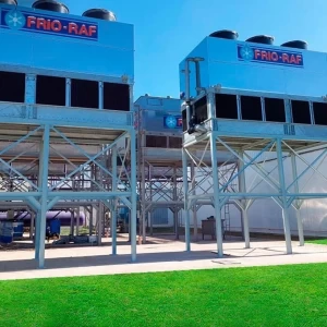Frío-Raf celebró sus primeros 60 años