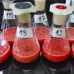 Aditivos antioxidantes, a partir de un subproducto bovino