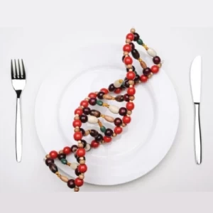 Nutrigenómica y su aplicación para mejorar las características de calidad de la carne