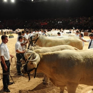 La 32ª edición del SOMMET DE L’ÉLEVAGE recibió más de 100 mil visitantes