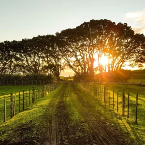 Crece la inversión de productores argentinos en campos extranjeros