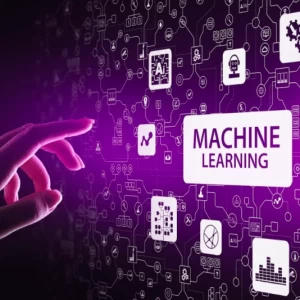 Beneficios del Machine Learning en la cría de aves