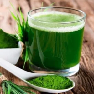 Microalgas: Cómo crear nuevos alimentos