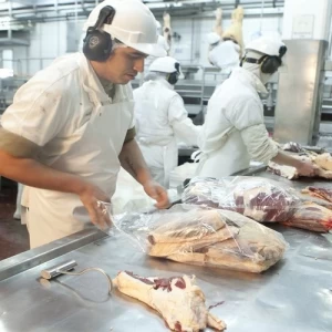 Senasa habilitó la exportación de cortes bovinos preferidos frescos, enfriados o congelados