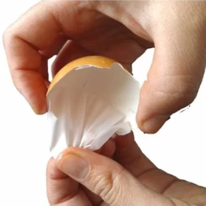 Desarrollan biomaterial con la membrana de huevo