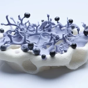 La innovación y creatividad en gastronomía se mostrará en el Food Design Festival 2024