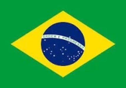  BRASIL: UNA MISIÓN CHINA EVALÚA MATADEROS DE AVES Y CERDOS EN BRASIL
