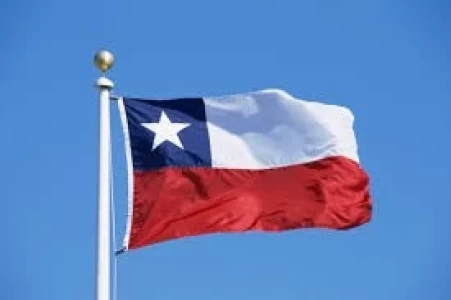 CHILE: AUMENTAN LAS EXPORTACIONES DE PORCINO