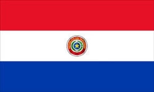 PARAGUAY: LAS EXPORTACIONES DE CARNE BOVINA SUMARON USD 66 MILLONES EN ENERO