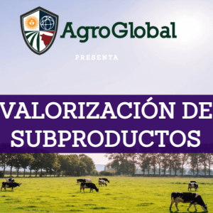 Sustentabilidad: Valorización de subproductos bovinos