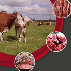 En mayo comienza el Diplomado especializado en “Calidad de res y carne bovina”