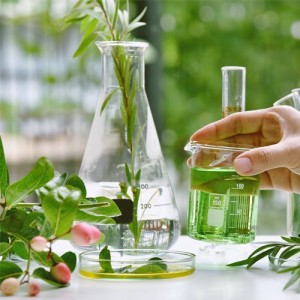 Aditivos Herbales: Un Cambio de Paradigma Basado en la Ciencia