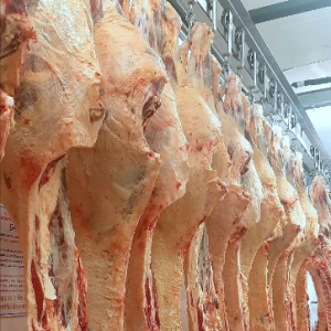 Calidad: Oportunidades comerciales para las carnes rioplatenses en 2021