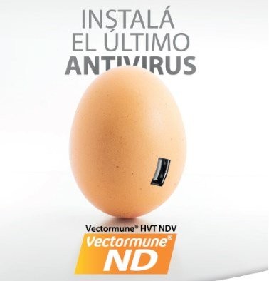 VECTORMUNE HVT NDV REDUCE LA EXCRECIÓN DEL VIRUS DE LA ENFERMEDAD DE NEWCASTLE, CON PROTECCIÓN MÁXIM