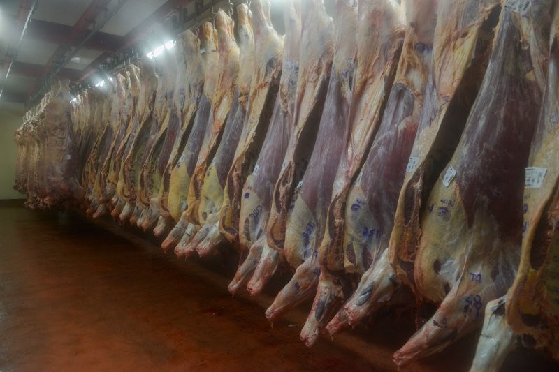 ARGENTINA: LAS EXPORTACIONES DE CARNE BOVINA CRECIERON 60%