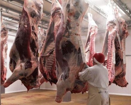 LA PUESTA EN VIGENCIA DEL REGLAMENTO PARA LA FAENA RITUAL KOSHER NO SE PRORROGARA MAS ALLA DEL PROXI