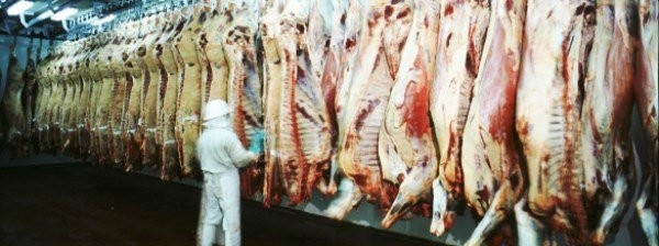 CHINA ABRIÓ EL MERCADO PARA LA CARNE VACUNA ARGENTINA CON HUESO Y ENFRIADA