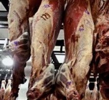 ARGENTINA AVANZA PARA OFICIALIZAR EL CONTROL ELECTRÓNICO DE SACRIFICIO ANIMAL