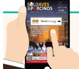 REVISTA SOLO AVES & PORCINOS Nº 65 ONLINE Y EN LA APP