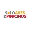 REVISTA SOLO AVES & PORCINOS: CONTENIDO EDITORIAL FEBRERO 2017