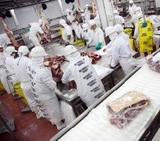 LAS EXPORTACIONES DE CARNE VACUNA CRECIERON 10% ENTRE ENERO Y OCTUBRE