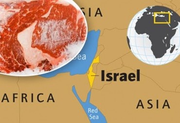 COLOMBIA: ASÍ SERÁ LA GIRA DE COMERCIO EXTERIOR DE CARNE AL MEDIO ORIENTE