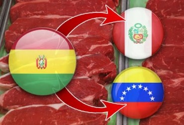 BOLIVIA EXPORTÓ MÁS DE 1.000 TONELADAS DE CARNE VACUNA A PERÚ Y VENEZUELA EN UN MES