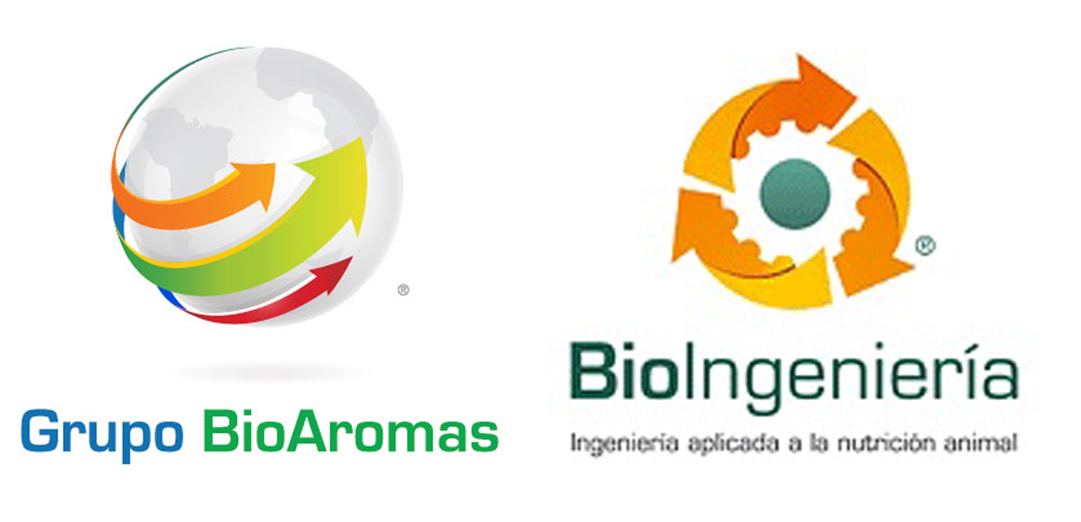 BIOAROMAS CON BIOINGENIERIA, SE HACE FUERTE EN EL ASESORAMIENTO EN INGENIERIA DE PROCESOS