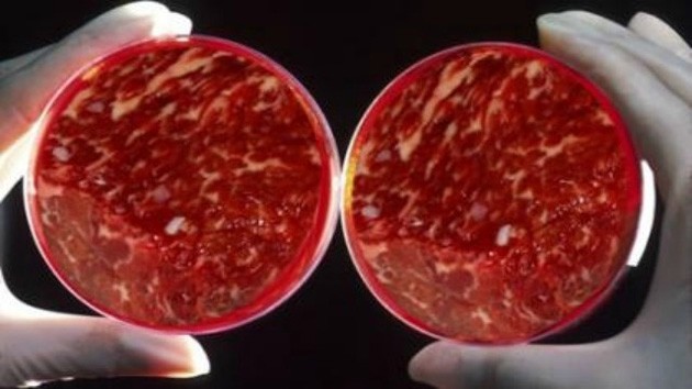 CIENTIFICOS PREPARARAN LA PRIMERA HAMBURGUESA DE CARNE CREADA IN-VITRO