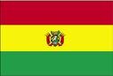 BOLIVIA: PREOCUPA LA SITUACIÓN SANITARIA 