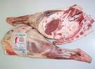 CRECIMIENTO DE LAS EXPORTACIONES DE CARNE OVINA ARGENTINA