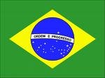 BRASIL: LA FAENA DE POLLOS CRECIÓ MÁS DEL 10% EN 2008