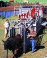 JORNADA SOBRE BIENESTAR ANIMAL Y BUENAS PRACTICAS DE MANEJO DE GANADO