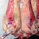 AGRICULTURA FIJÓ NORMAS PARA EXPORTAR CARNE DE CALIDAD