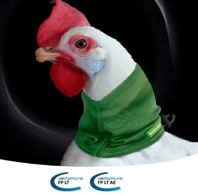 CEVA SALUD ANIMAL: HACIENDO LA PROTECCIÓN PARA LT MÁS SEGURA Y FÁCIL
