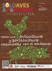 INVESTIGACION/ FAUBA: CERDOS SI, PERO CHANCHOS NO