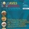 REVISTA SOLO AVES & PORCINOS EDICION 42: AULA ABIERTA EN FIAR / EXPOAMERICARNE LA CADENA PORCINA TUV