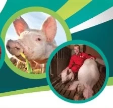 GIRA TÉCNICA EN FRANCIA 2018: RUTA TÉCNICA SECTOR PORCINO CON VISITA A SPACE
