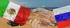 MEXICO Y RUSIA ANALIZAN EL PROTOCOLO SANITARIO PARA LA EXPORTACION DE CARNE
