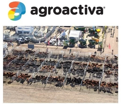 AGROACTIVA CONVOCARÁ A MILES DE VISITANTES PARA APRECIAR EJEMPLARES BOVINOS DE LA MEJOR CALIDAD